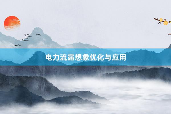 电力流露想象优化与应用