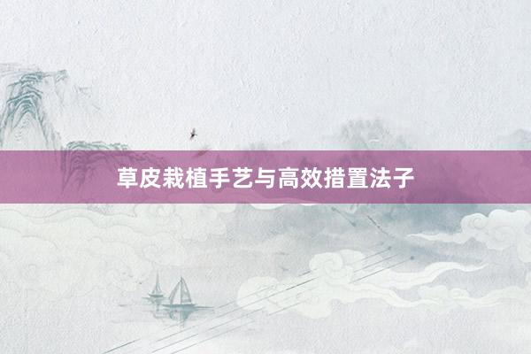 草皮栽植手艺与高效措置法子