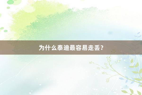 为什么泰迪最容易走丢？