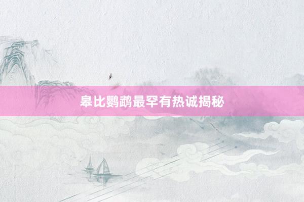 皋比鹦鹉最罕有热诚揭秘
