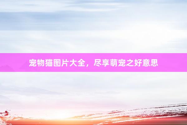宠物猫图片大全，尽享萌宠之好意思