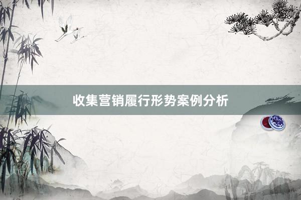 收集营销履行形势案例分析